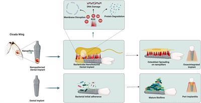 Multi-functional approach in the design of smart surfaces to mitigate bacterial infections: a review